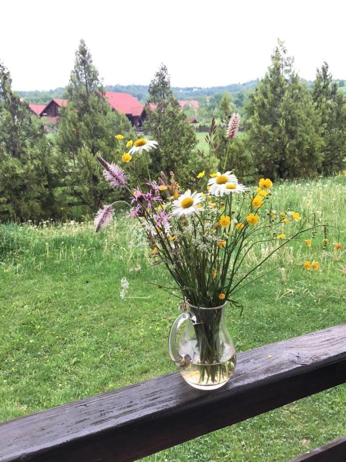 Bran White Clouds House And Chalet Экстерьер фото